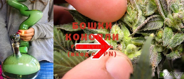 Альфа ПВП Белокуриха