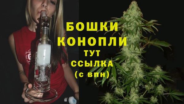 Альфа ПВП Белокуриха