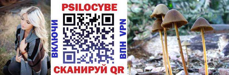 Псилоцибиновые грибы Cubensis  Мыски 